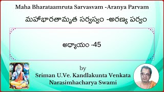 MahaBharatam Aranya Parvam Ch45 by Kandlakunta Venkata Narasimhacharya swami [upl. by Nevet]