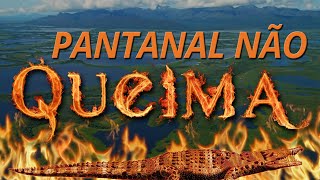 Queimadas no Pantanal  O Pantanal também não Queima [upl. by Arratahs]