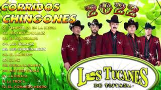 Puros Corridos Chingones Mix de Los Tucanes De Tijuana [upl. by Haman]