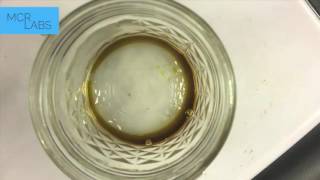 Decarb  Decarboxylation by MCR Labs  Cannabis Testing in Framingham [upl. by Millian536]