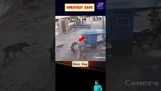 Respect💯 Greatest Save🐕‍🦺 shorts short status viral [upl. by Loux]