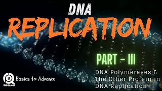 DNA Polymerase amp Replication Fork  DNA Replication  Part III  Basics to Advance [upl. by Fauver]