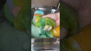 PT 23  SUDSY SPONGE OVERLOAD SQUEEZING  PASTE  PINALEN  AJAX  DETERGENT  COMET  CLEANTOK [upl. by Yemac]