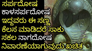 simple remedy for kalasarpadosha  Nagadosha  Kalasarpadosha  kukke subramanya  Nagadevatha [upl. by Toomin]