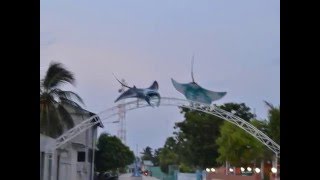 Discover K Maafushi Island Male Maldives [upl. by Juakn]