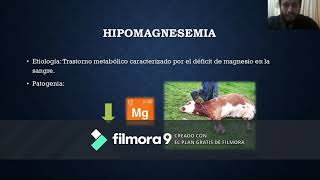 Tratamiento de enfermedades de origen metabólico Hipocalcemia hipomagnesemia e hipofosfatemia [upl. by Werdnael]