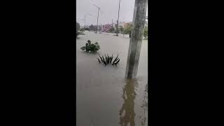 🚨 Mexico  Hurricane John causes massive floods and landslide [upl. by Enaira]