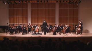 Vivaldi Cello Concerto in B minor RV 424 Movements I amp II [upl. by Brost]