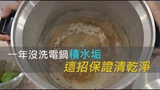 一年沒洗電鍋積水垢 這招保證清乾淨  台灣蘋果日報 [upl. by Siul]