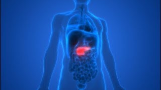 Episode 342  Why You Must Keep Your Pancreas Healthy [upl. by Attegroeg]