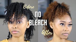 How I Dye My Natural Hair With No Bleach  Clairol Review [upl. by Lloyd]