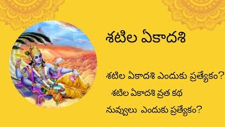 శటిల ఏకాదశి ప్రాముఖ్యతshattila ekadashi significance [upl. by Atteuqaj]