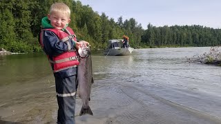 Salmon Fishing Catch amp Cook  50 fish in 4 hrs [upl. by Alyahs]