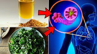 How to Cure Pulmonary Fibrosis Naturally [upl. by Beauchamp]