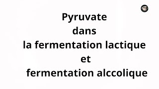 Biochimie  Fermentation alcoolique et lactique du pyruvate en anaérobie [upl. by Oiled]