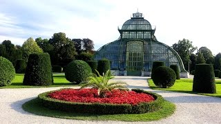 VIENNA WIEN Barockgarten und Palmenhaus Schönbrunn [upl. by Sargent]