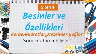 5sınıf  Besinler ve Özellikleri  karbonhidratlar proteinler yağlar  soru çözdüren bilgiler [upl. by Pol]