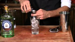 How to Make a Gin Fizz  Cocktail Tutorial  Cocktails U [upl. by Hedvige775]