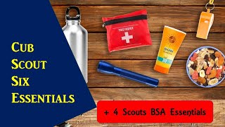 Cub Scout Six Essentials Plus 4 Scouts BSA [upl. by Cortney]