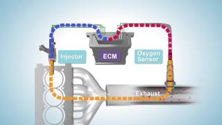 Fuel Trim  System Too Lean [upl. by Alegna40]