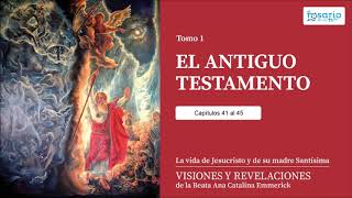 VISIONES Y REVELACIONES DE ANA CATALINA EMMERICK TOMO 1 ANTIGUO TESTAMENTO capítulos 41 a 45 [upl. by Mayce]