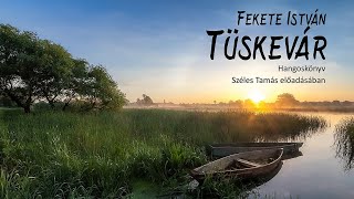 Fekete István Tüskevár [upl. by Aicele]