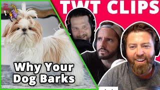 Forrest Galante Explains Why Your Dog Barks [upl. by Anerrol21]