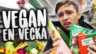 HUR MÅR MAN EFTER 1 VECKA SOM VEGAN [upl. by Amalberga540]