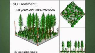 The Future of Forestry Future Forest Management in the Pacific Northwest [upl. by Aileahcim566]