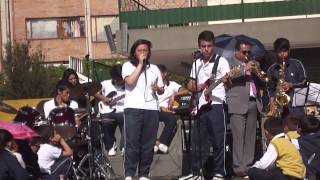 Mal Bicho  Fabulosos Cadillacs cover [upl. by Vivianna]