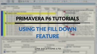 Primavera P6 Tutorial 4  Using Fill Down [upl. by Raff]