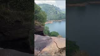 Gartmore Falls  Maskeliya Sri Lanka gartmorefalls srilanka shorts travelvlog [upl. by Austin]