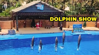 uShaka Marine World 🐬 🐬🐬  Dolphin Show  Durban  South Africa [upl. by Robson]