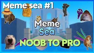 Roblox  Meme Sea 1  Noob To Pro [upl. by Paulo]