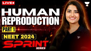 Human Reproduction Part 1  NEET 2024 Sprint Series  Seep Pahuja [upl. by Euv]