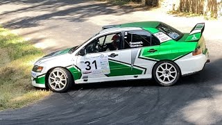 Rallye Velay Auvergne 2024 [upl. by Arst]