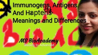 IMMUNOGEN ANTIGENS AND HAPTENSin English [upl. by Rednael]