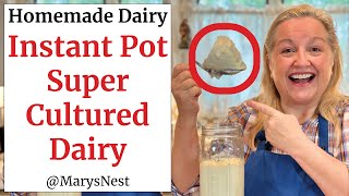 How to Make Instant Pot L Reuteri Cultured Dairy  Homemade l Reuteri Yogurt  Super Gut Yogurt [upl. by Nosauq]