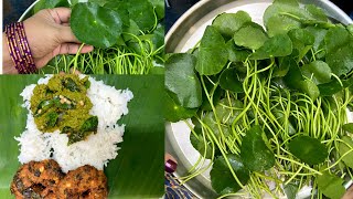 வல்லாரை கீரை துவையல்Vallarai Keerai ThuvaiyalBrahmi Leaves Chutney Recipe [upl. by Koball34]