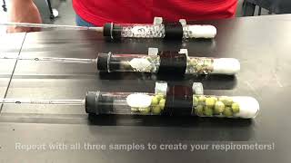 C126 Part 1  Measuring respiration using a respirometer [upl. by Nosnibor]