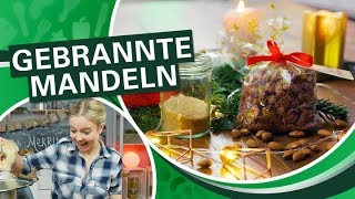 Weihnachstmarkt 🎄 gebrannte Mandeln schnell zu Hause selber machen I Einfach Thermomix [upl. by Aubree]