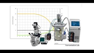 Labster Virtual Lab Fermentation Simulation [upl. by Aesoh104]