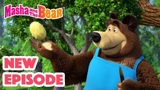 Masha and the Bear 2024 🎬 NEW EPISODE 🎬 Best cartoon collection 🥔 Soup Pursuit 🥕🍲 [upl. by Etep]