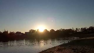 Lever de soleil en Automne Canada 🇨🇦🇨🇦🇨🇦 شروق الشمس في الخريف كندا [upl. by Alexandro]