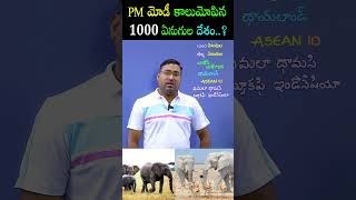 Modi  Land of 1000 Elephants CNREDDYACADEMY [upl. by Yojal479]