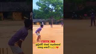 💥🏏😌 cricket lankasoftballcricket softball srilankasoftballcricket softballcricket [upl. by Enomes]