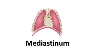 Mediastinum Prof Dr Md Ashfaqur Rahman [upl. by Adnalram]