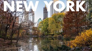 NYC LIVE Central Park to Rockefeller Center Christmas Tree Walk [upl. by Guidotti]