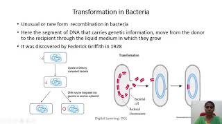 Genetic recombination in bacteria [upl. by Yatnoj]