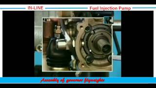 24InLine Motorpal Size MI Pump Assembly of governor flyweights تركيب أثقال أوزان الجفرنير [upl. by Ashbey131]